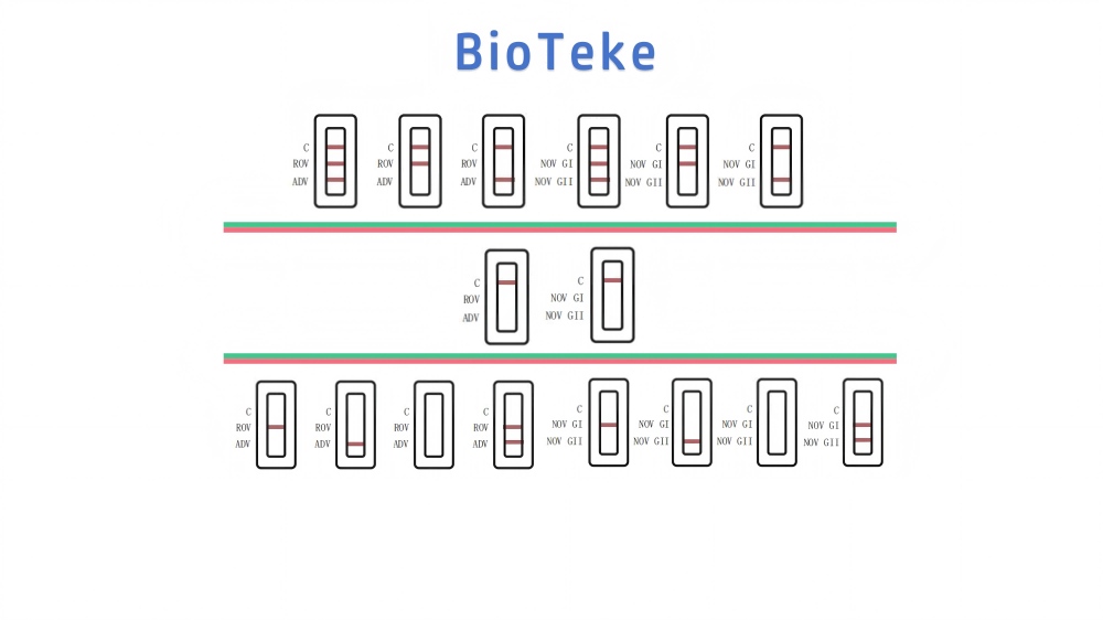 Резултати от теста на вируса на Rota Adeno Noro