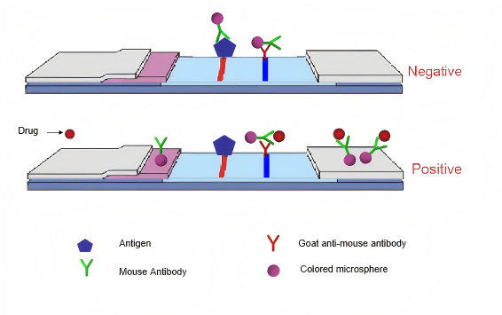 принцип на изследване на урината за наркотици