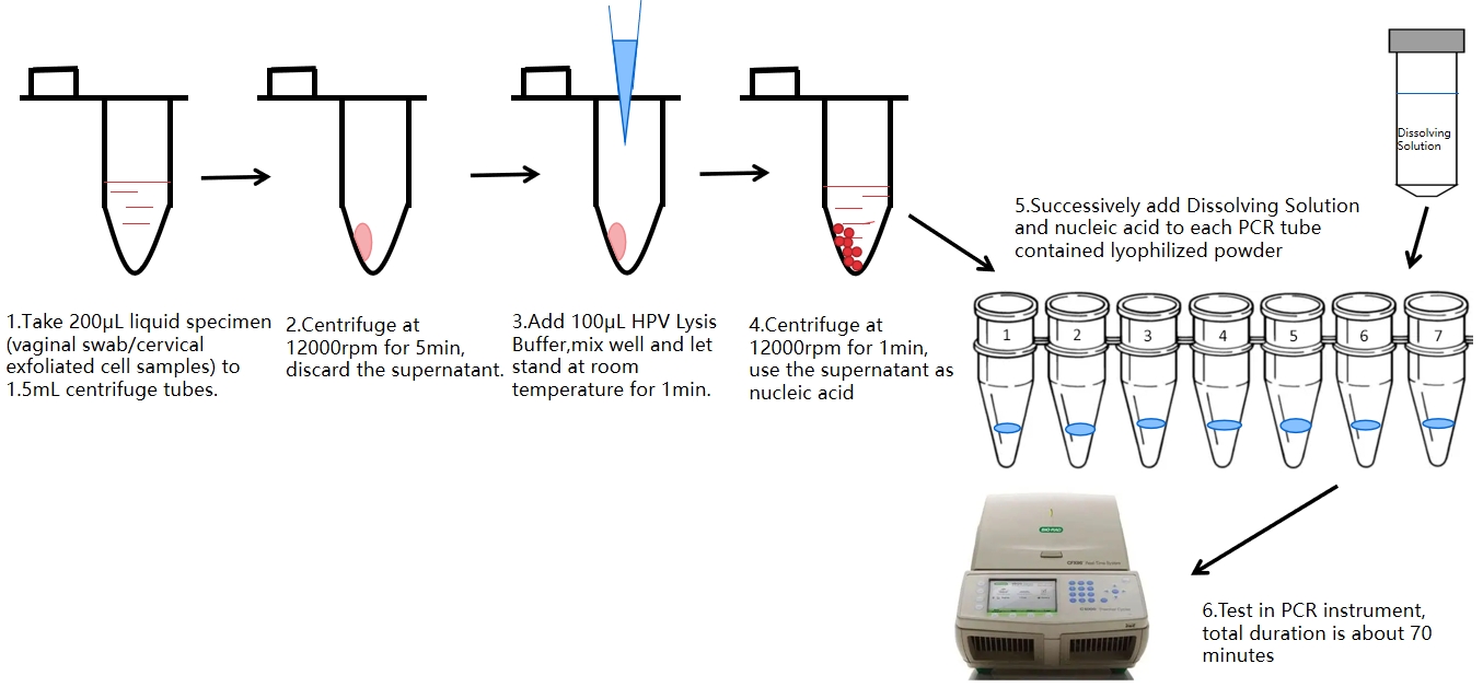 HPV PCR тестов процес 