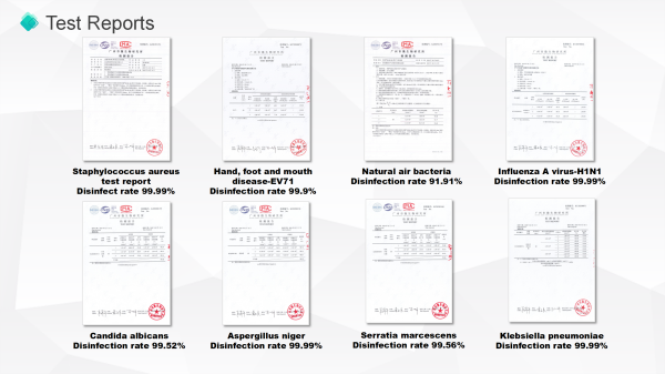 доклад за тест